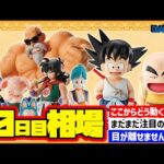 【相場情報】10日目相場！一番くじ ドラゴンボール EX 孫悟空修業編   一番賞