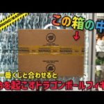箱の中身は！あの一番くじフィギュアを劇的に映えさせます　ドラゴンボール　フィギュア　一番くじ　フィギュアレビュー　孫悟空　ベジータ　鳥山明　最新情報　Dragon ball