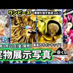 【展示写真】一番くじ ワンピース EX 悪魔を宿す者達 vol 3 フィギュア