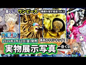 【展示写真】一番くじ ワンピース EX 悪魔を宿す者達 vol 3 フィギュア