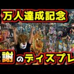 【5万人達成記念‼︎ 感謝のディスプレイ紹介】部屋の全貌全てお見せします‼︎ 大量の一番くじフィギュア達‼︎ ドラゴンボール ワンピース ヒロアカ ナルト ベルセルク 刃牙 クローズ 黄金神龍