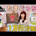 【神引き】1万円分のたまごっち一番くじを開封した結果・・・！！