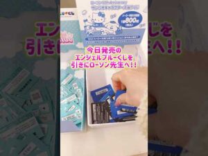 ローソン💙エンジェルブルーサンリオくじ#一番くじ #ローソン#開封動画