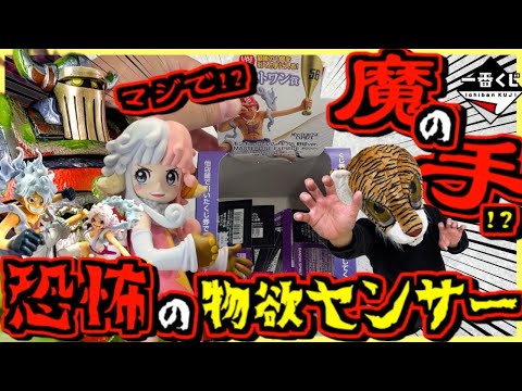 【一番くじ ワンピース】マジかよ⁉︎ 恐怖の物欲センサーの魔の手⁉︎ 思い描く未来 ルフィ ギア5 エメト ボニー アトラス ラストワン賞
