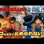 【ワンピース 一番くじ】とんでもなくロゴが人気？！ワンピースファンとして絶対に欲しい！！
