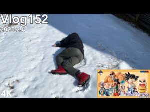 【ドラゴンボール一番くじ】冬のボーナス、完。