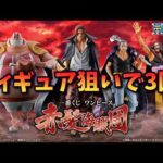【ワンピース】フィギュア狙いで3回挑戦！一番くじ ワンピース 赤髪海賊団【Vtuber / 猫実況】