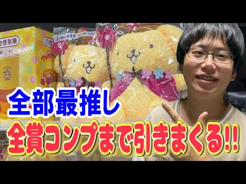 【サンリオくじ】どれを引いても最推し確定の最強くじ！ポムポムプリン30周年記念デザインのくじを全賞コンプリートするまで帰れません!!【Sanrio/当りくじ/一番くじ】