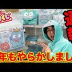 【サンリオくじ】ハンギョドン40周年記念くじがヤバすぎた。推しが愛しすぎて完全に壊れた男｜サンリオ