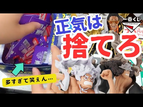 【一番くじ】ワンピース ○○は狙わない！？未来島で覚悟が試された家族の末路　エッグヘッド きみへの想い