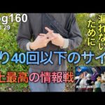 【HUNTER×HUNTER一番くじ】全てを懸ける時がきた。