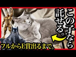 【一番くじ ヒロアカ】 相反する思い オールフォーワン欲しいので深夜開催で本気を出した結果...【猫 僕のヒーローアカデミア】