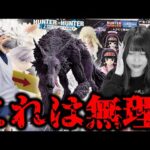 当たり確率10%以下のハンターの一番くじがやば過ぎた