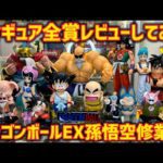 【全賞レビュー】余すとこなく孫悟空修業編全て魅せます　ドラゴンボール　最新一番くじ　孫悟空　ブルマ　ヤムチャ　ウーロン　プーアル　チチ　亀仙人　鳥山明　ラストワン　最新情報