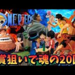 【ワンピース】D賞ロゴ狙いで20回挑戦！一番くじ ワンピース ドラマティックメモリーズ【Vtuber / 猫実況】