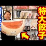 【くじ】大阪王将コラボ！超特大餃子を狙って引け！この結果はどうなの…？（クジ、一番くじ、一番賞）