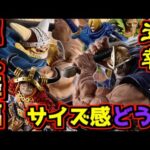 【一番くじ ワンピース 緊急速報】皆さんサイズ感はどう感じますか⁉︎ ラストワン賞はまさか⁉︎ エルバフ編 GIANT BASH!! Vol.1 Vol.2 進撃の巨人 選択と結果 ドリー ブロギー