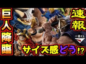 【一番くじ ワンピース 緊急速報】皆さんサイズ感はどう感じますか⁉︎ ラストワン賞はまさか⁉︎ エルバフ編 GIANT BASH!! Vol.1 Vol.2 進撃の巨人 選択と結果 ドリー ブロギー