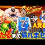 【一番くじ】ストリートファイター！格ゲー界の金字塔がついに一番くじ化！A賞当たるまで引いたらKOされました。