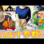 【一番くじ】心優しき戦士ハハロット ドラゴンボール DRAGON BALL 40th 其之一 フィギュア 40周年 孫悟空 ラストワン ドラゴンボールフィギュア ワンピース ドッカンバトル 相場 高騰