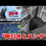 【神引きとメシウマ】一番くじ ゴジラ 最恐怪獣王列伝と一番くじ フィンセント・ファン・ゴッホ