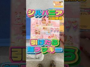 毎日一番くじ440日目シルバニアくじは引けたら超ラッキー✌️#shorts #一番くじ #シルバニアファミリー #ファミリーマート