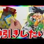 【散財】今年最高の一番くじ!!原作コミック悟空を神引きできるのか!?