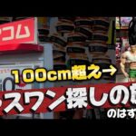 【一番くじ】ハンターハンター！夕方からラスワン探しの旅!に出た結果...