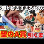 【ドラゴンボール】一番くじに金突っ込む…！！A賞の悟空＆クリリンを当てるまで引いたら、膝から崩れ落ちる結果に！！『ドラゴンボールEX☆孫悟空修業編』幼少期/フィギュア/DragonBall/2025