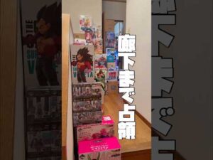親父限界！フィギュアが家を占領！ #フィギュア #一番くじ #ワンピースフィギュア #ドラゴンボールフィギュア