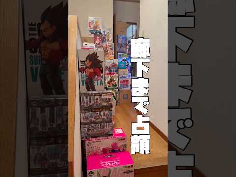 親父限界！フィギュアが家を占領！ #フィギュア #一番くじ #ワンピースフィギュア #ドラゴンボールフィギュア