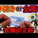 【最強の２択】一番くじ！パワーパフガールズ！神引きしますか？全買いしますか？（一番くじ、一番賞、パワーパフガールズ）
