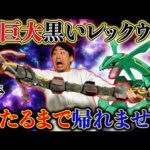 【一番くじ】ポケモン！激レアの”伝説の黒いレックウザ”当てるまで引いたら散財しました。（一番くじ、一番賞、ポケモン）