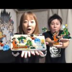 【一番くじ ドラゴンボール DRAGON HISTORY Ⅱ】 ずっと待っていた！！  (DRAGONBALL)