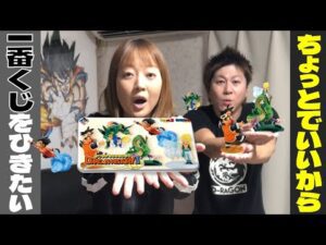 【一番くじ ドラゴンボール DRAGON HISTORY Ⅱ】 ずっと待っていた！！  (DRAGONBALL)