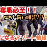 【一番くじHH情報】一番くじ HUNTER×HUNTER ZAOLDYECK FAMILY！！争奪戦必至！？