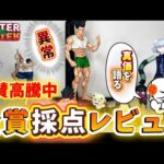 【過去最高？】本音で語る！一番くじハンターハンターキメラアント編2のフィギュア全賞レビュー　HUNTER×HUNTER フィギュア　ゴンさん
