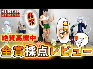 【過去最高？】本音で語る！一番くじハンターハンターキメラアント編2のフィギュア全賞レビュー　HUNTER×HUNTER フィギュア　ゴンさん