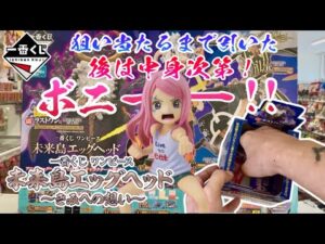 【一番くじ】狙い当たるまで引いた！後は中身次第 ボニー！一番くじ ワンピース 未来島エッグヘッド～きみへの想い～