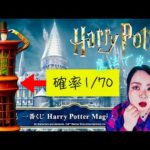 【一番くじ】当たり🎯1本しかないライトが欲しい‼️ハリーポッター🪄Harry Potter Magical Holiday！