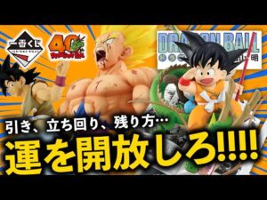 【一番くじ】全買い？…いや、そろそろ自分を信じていい頃だ｜ドラゴンボール 40th ～其之一～