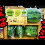 【くじ】特大サイズのスイカが当たる『変なクジ』引いたら奇跡起きた｜一番くじ、スイカゲーム、タイトーくじ