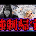 厳し過ぎるワンピース一番くじ引いたらあり得ない結果になりました【一番くじワンピース 匠ノ系譜 覇極】