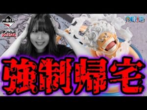 厳し過ぎるワンピース一番くじ引いたらあり得ない結果になりました【一番くじワンピース 匠ノ系譜 覇極】