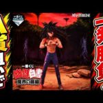 【幽遊白書】A賞狙いで一発勝負！一番くじオンライン 幽☆遊☆白書 魔界の扉編【Vtuber / 猫実況】