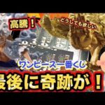 【一番くじ】まさかの結末！！1週間の戦いに終止符を！ワンピース一番くじ最高！#ワンピース #一番くじ #onepiece #センゴク#ニカ