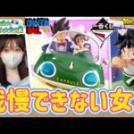 【一番くじ】孫悟飯&チチが欲しい女 ドラゴンボール スナップコレクション2 DRAGON BALL フィギュア ラストワン 鬼滅の刃 デスノート ドッカンバトル ブラショ ジョジョ 相場 高騰