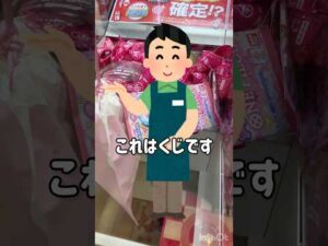 【一番くじ】捜査中に発見したくじキャッチャーが激アツだった件 #一番くじ #スパイファミリー #nintendoswitch