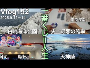 【和歌山遠征一番くじ】夏のボーナス、完。