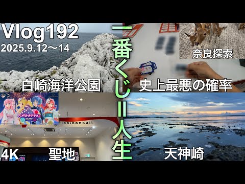 【和歌山遠征一番くじ】夏のボーナス、完。